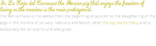 In La Hoja del Carrasco the Iberian pig that enjoys the freedom of living in the meadow is the main protagonist. The Montanheira is the period from the beginning of autumn to the slaughtering of the pigs in the months of January, February and March, when the pig roams freely and is exclusively fed on acorns and wild grass. 