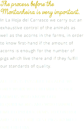 The process before the Montanheira is very important. In La Hoja del Carrasco we carry out an exhaustive control of the animals as well as the acorns in the farms, in order to know first-hand if the amount of acorns is enough for the number of pigs which live there and if they fulfill our standards of quality. ALL THIS IS POSSIBLE BECAUSE WE ONLY WORK WITH RELIABLE STOCK-FARMERS WHO KNOW OUR REQUIREMENTS AND WHO HANDLE LIMITED PRODUCTIONS TO CONTROL AND SELECT THE BEST PIGS TO MEET OUR CRITERIA.