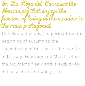 In La Hoja del Carrasco the Iberian pig that enjoys the freedom of living in the meadow is the main protagonist. The Montanheira is the period from the beginning of autumn to the slaughtering of the pigs in the months of January, February and March, when the pig roams freely and is exclusively fed on acorns and wild grass.